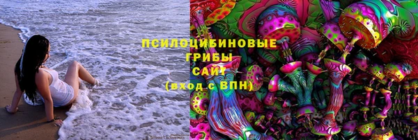 PSILOCYBIN Кукмор