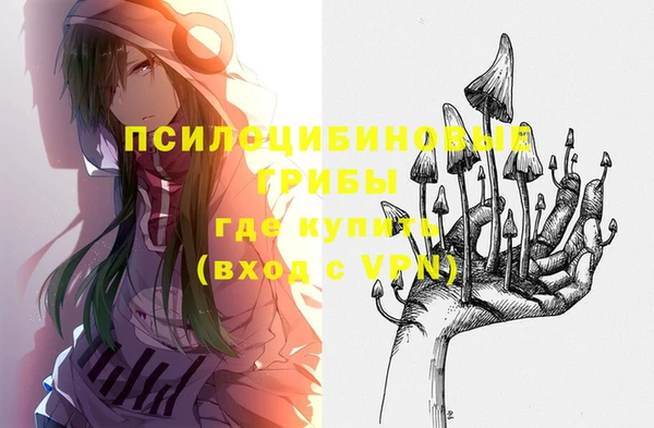 PSILOCYBIN Кукмор