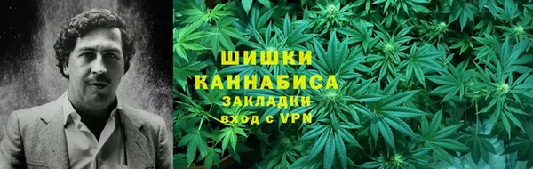 PSILOCYBIN Кукмор