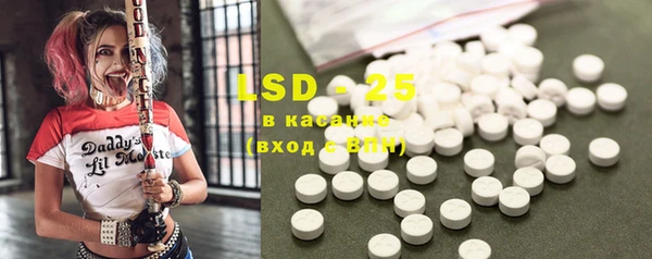 PSILOCYBIN Кукмор