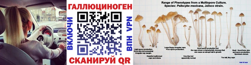 Купить закладки  Кириллов  Галлюциногенные грибы GOLDEN TEACHER 